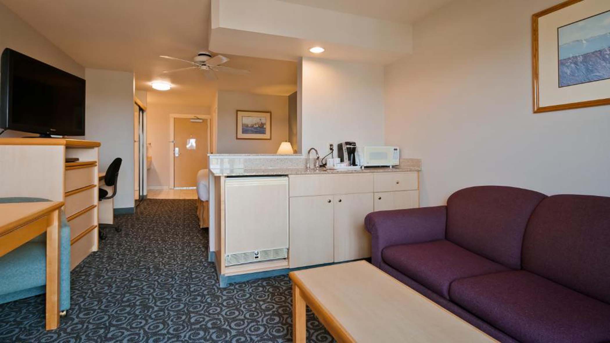 Sofa, tv, table and microwave and fridge