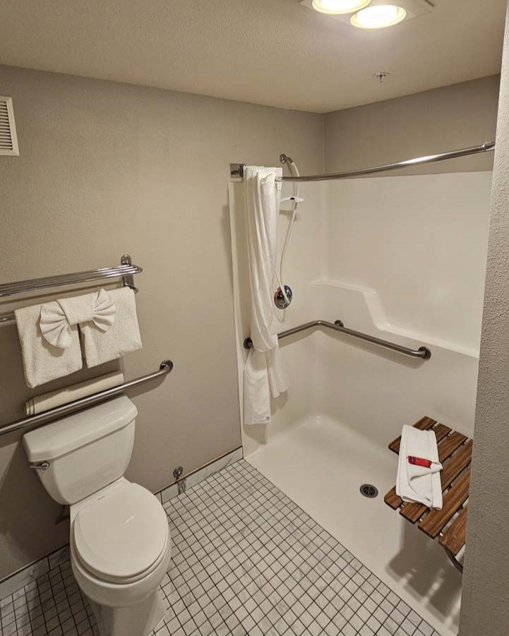 Toilet, shower seat, grab bars, and towel rack